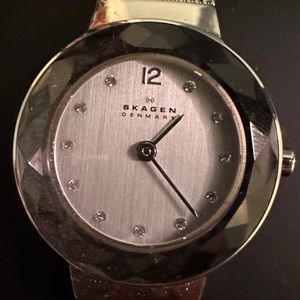 Skagen Watch